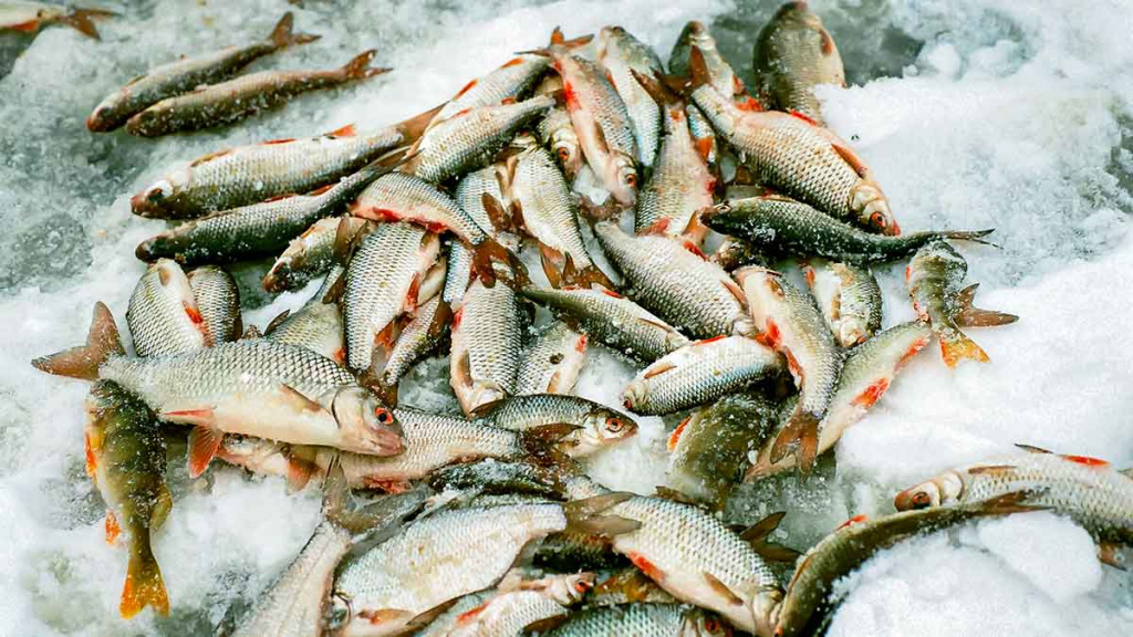 Sidabrinis blyksnis po pirmu ledu. Pirma dalis