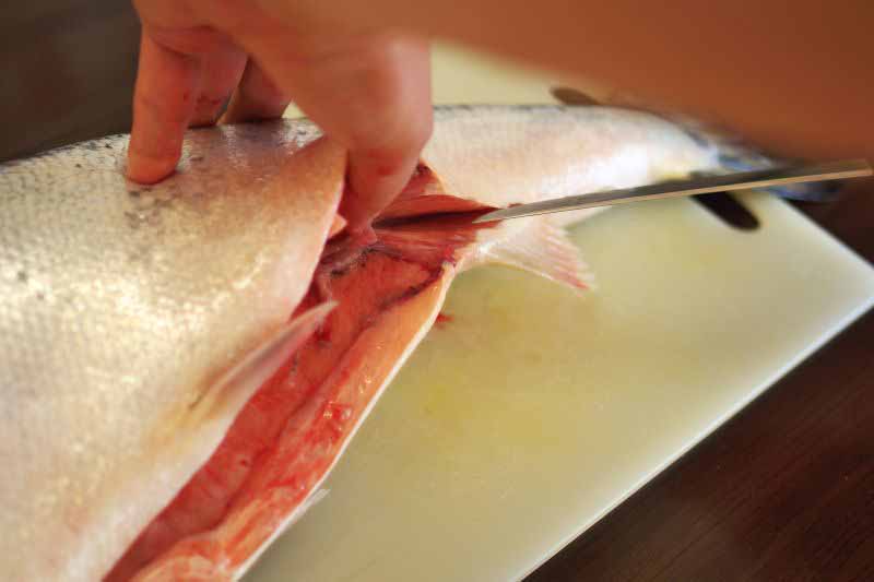 Kaip laikyti žuvį? Kaip laikyti žuvį?