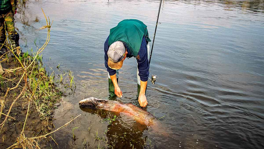 Penkių kilometrų maratonas pakui šamą Penkių kilometrų maratonas pakui šamą