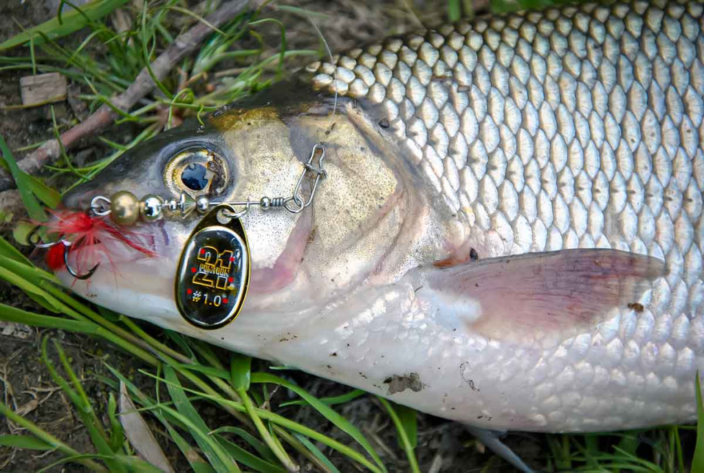 Nepailstanti žuvų viliotoja. 2 dalis