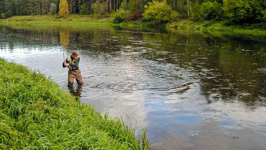 Išsamiai apie membranines bridkelnes. Antra dalis Išsamiai apie membranines bridkelnes. Antra dalis