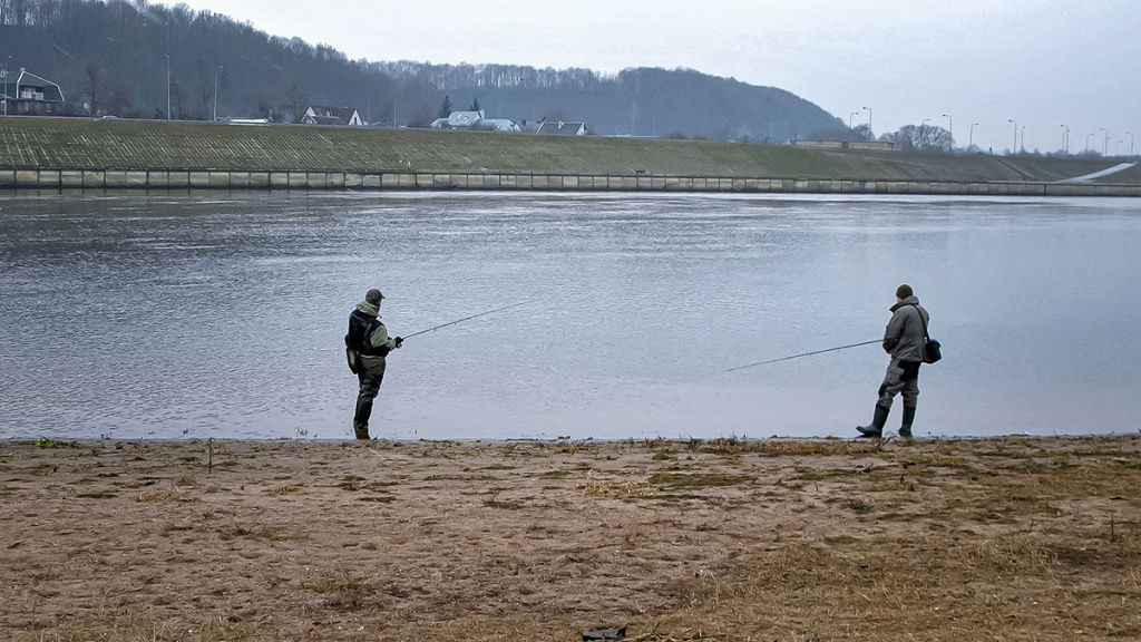 Kodėl po Naujųjų nėra ledo?
