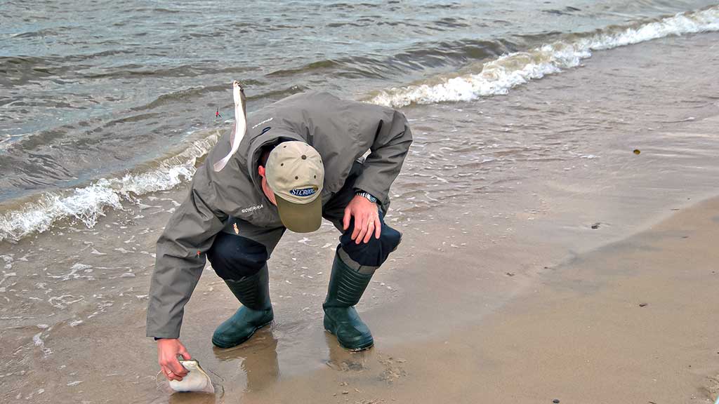 Kaip pagauti Baltijos plekšnę. Toli ir giliai Kaip pagauti Baltijos plekšnę. Toli ir giliai