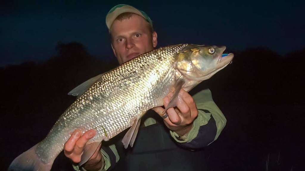 Kaip pagauti „nekimbantį“ salatį. Naktį – su vobleriais