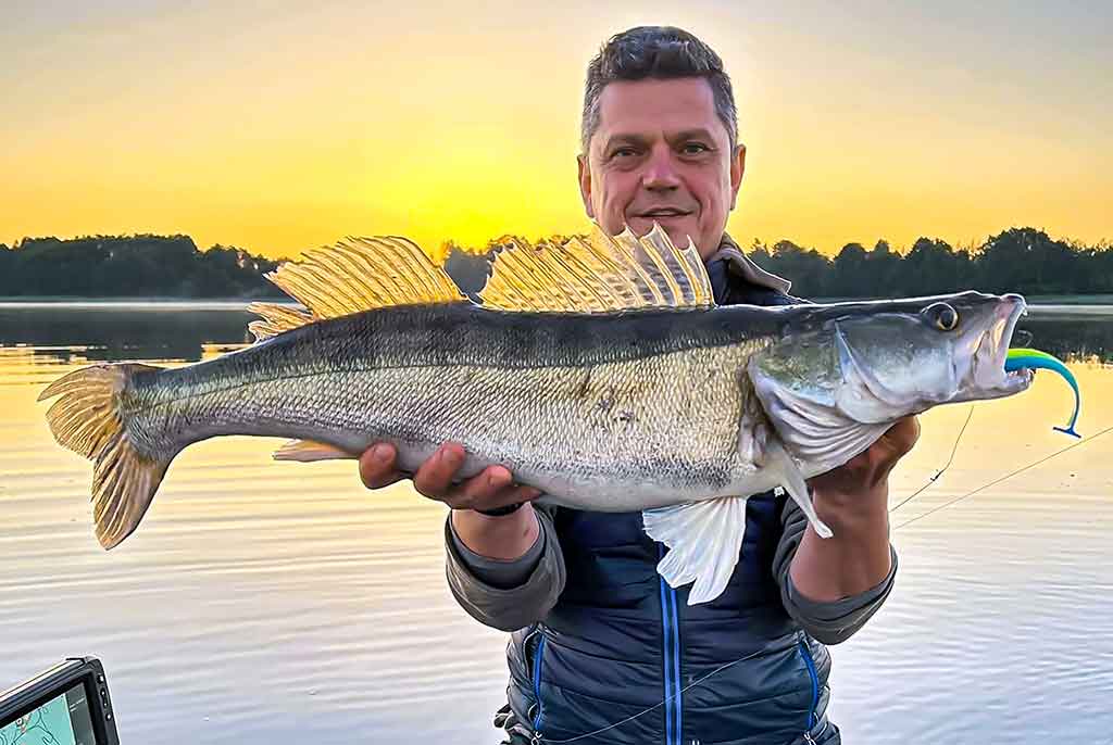 Ežerinio sterko paslaptis. Antra dalis
