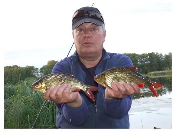Nedidelė laimikio, sugauto dugnine vandens paviršiuje dalis Nedidelė laimikio, sugauto dugnine vandens paviršiuje dalis