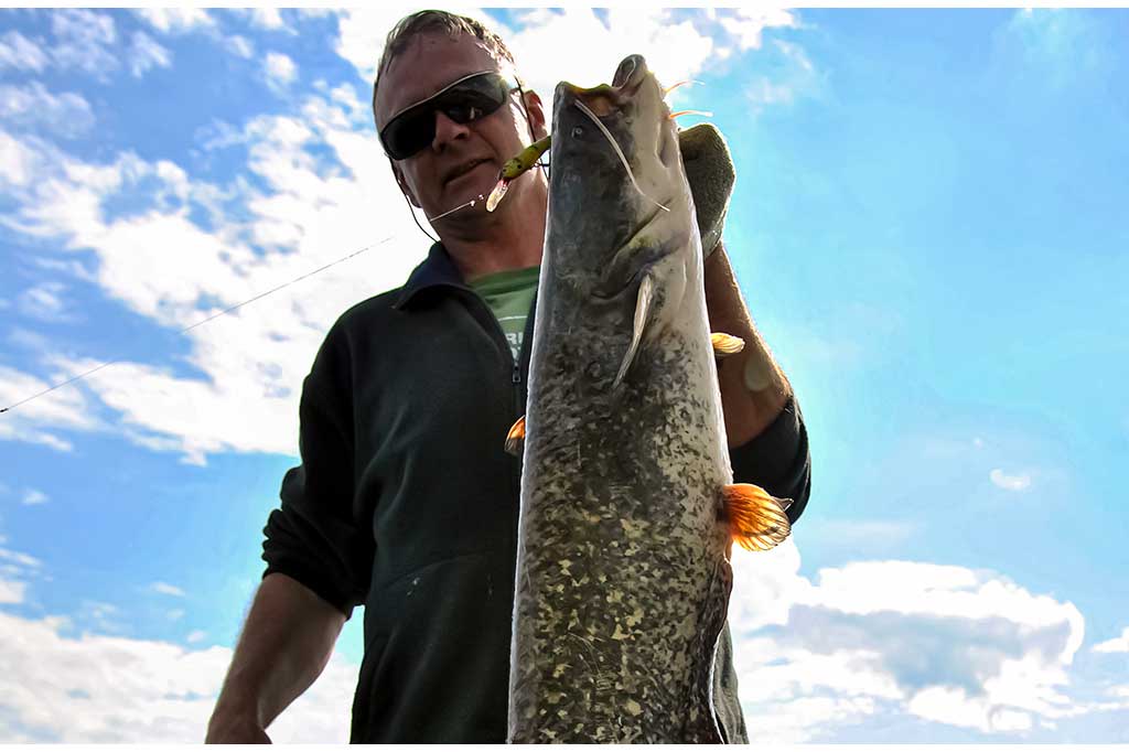 Voblerių dažymas - G. Nauckūnas