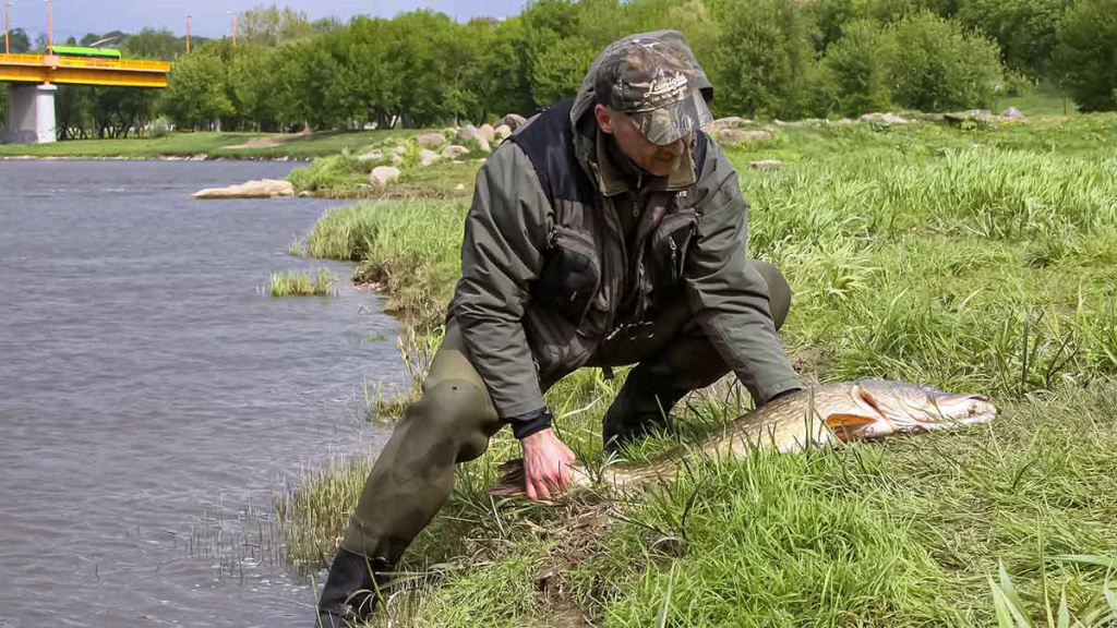 Nugalėtojas būna tik vienas. Antra dalis Nugalėtojas būna tik vienas. Antra dalis