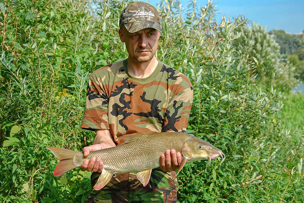 Koks svarelis geriausias. Pirma dalis