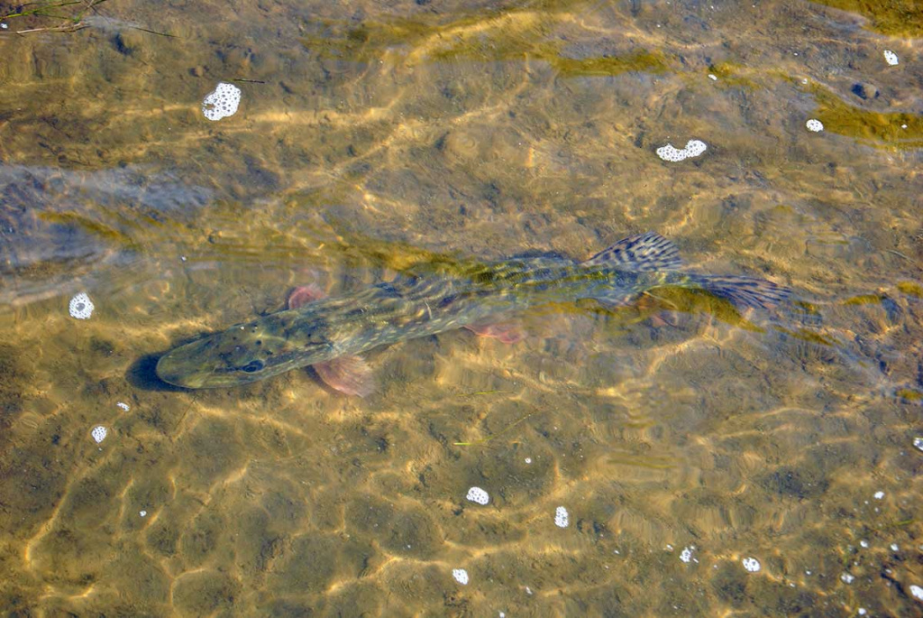 Apie saulę, vėją ir lietų. Pirma dalis