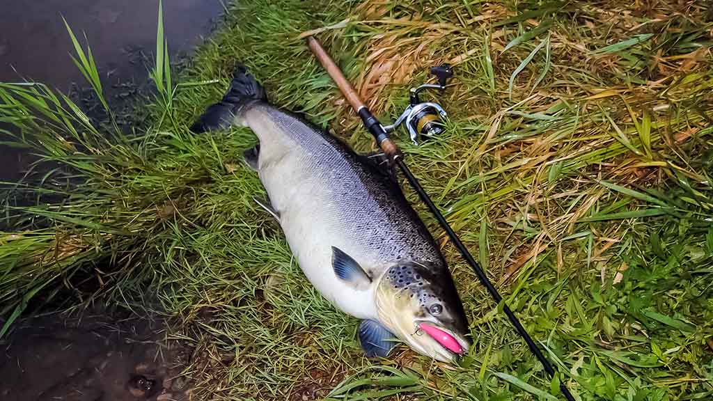 Kur, kaip ir kuo gaudome lašišas bei šlakius. III dalis