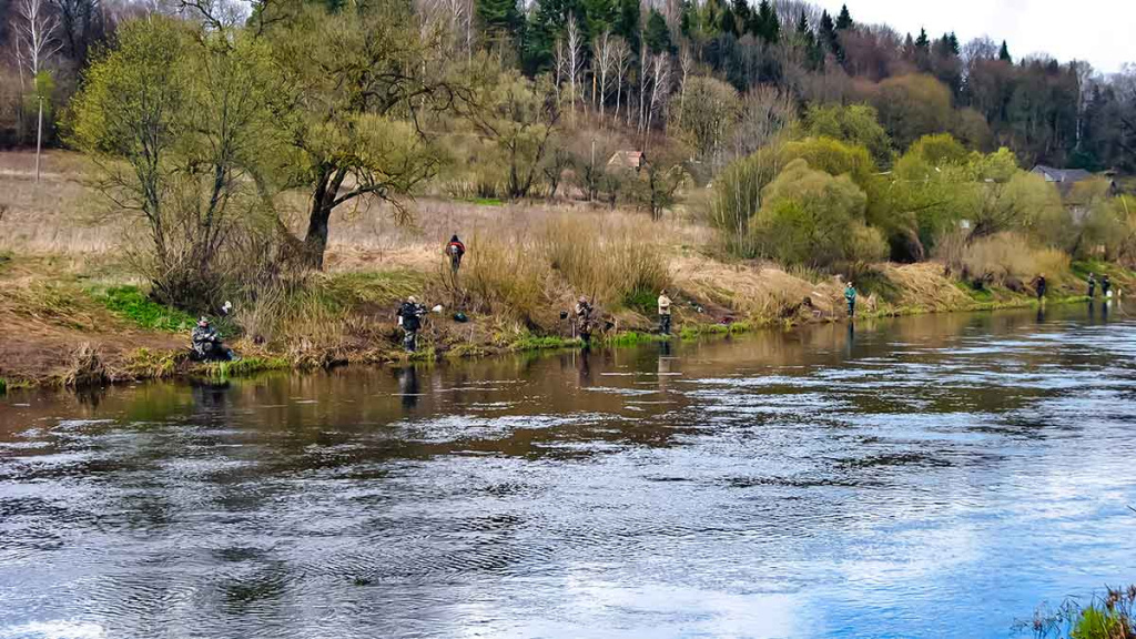 Pirmi ir paskutiniai Dubysos žiobriai. Pirma dalis