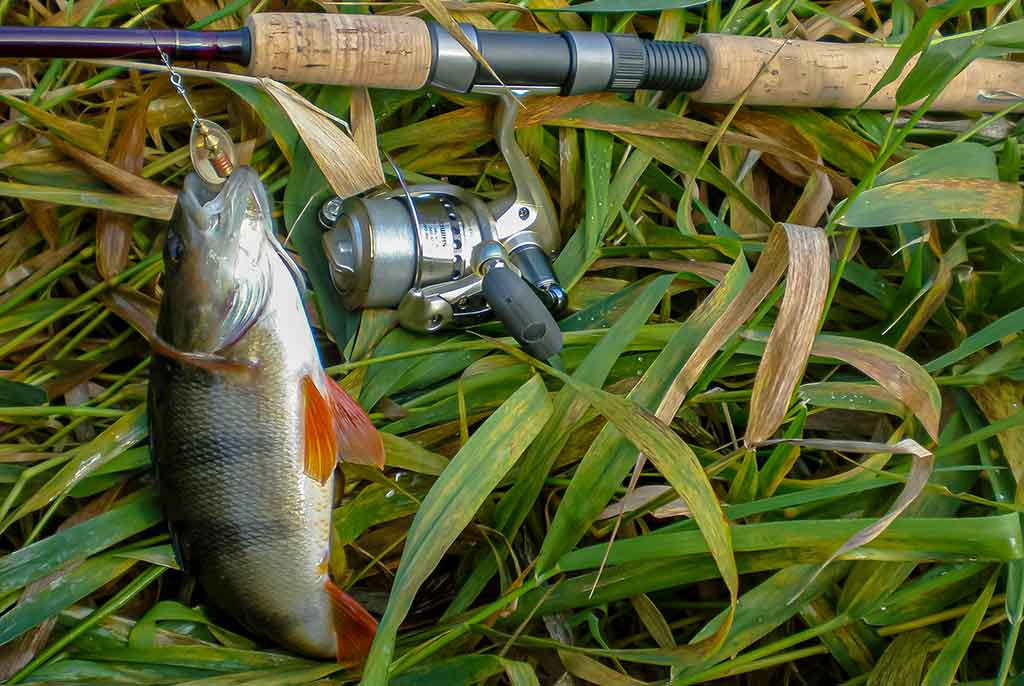 Švyst! Ir nuskrido... Antra dalis