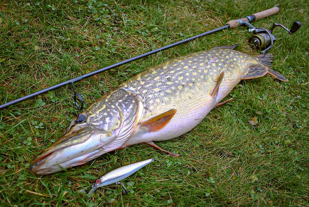 Vobleriniai niuansai