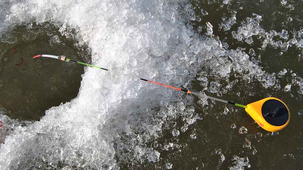 Kaip pagauti kuoją?