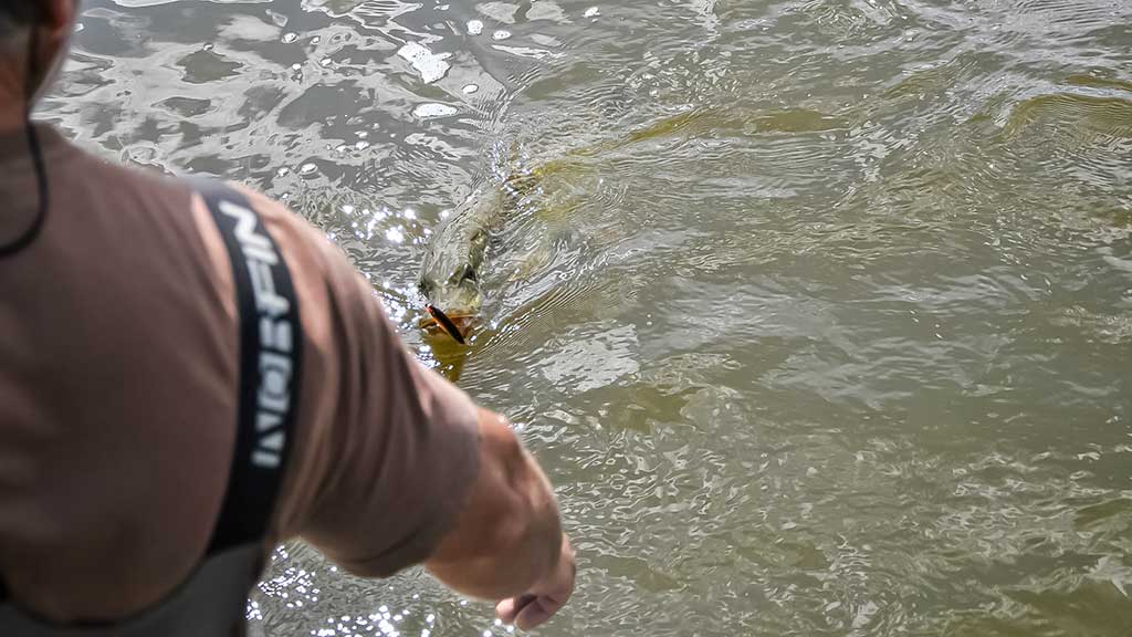 Žvejo aura. Antra dalis Žvejo aura. Antra dalis