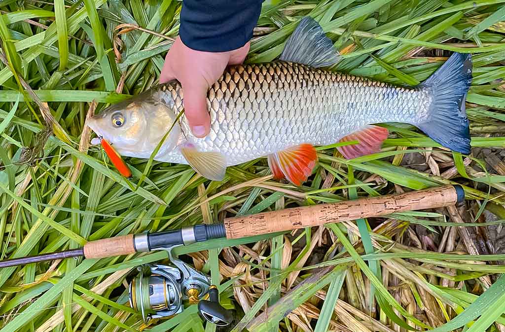 Geriau trumpas ar ilgas kotas?