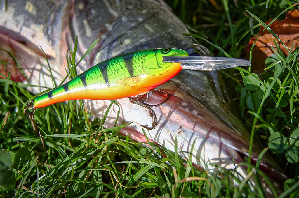 Balza, plastikas, abachi ir didelės lydekos. Pirma dalis Balza, plastikas, abachi ir didelės lydekos. Pirma dalis