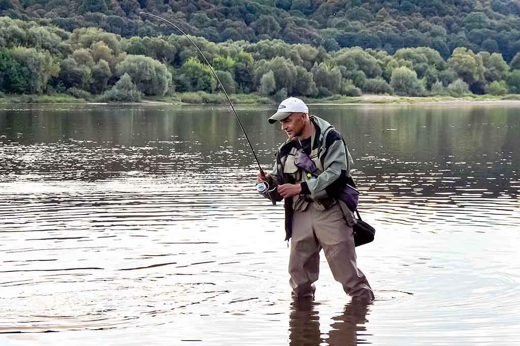 Cikada - masalas, kuris suvirpina žuvies širdį Cikada - masalas, kuris suvirpina žuvies širdį