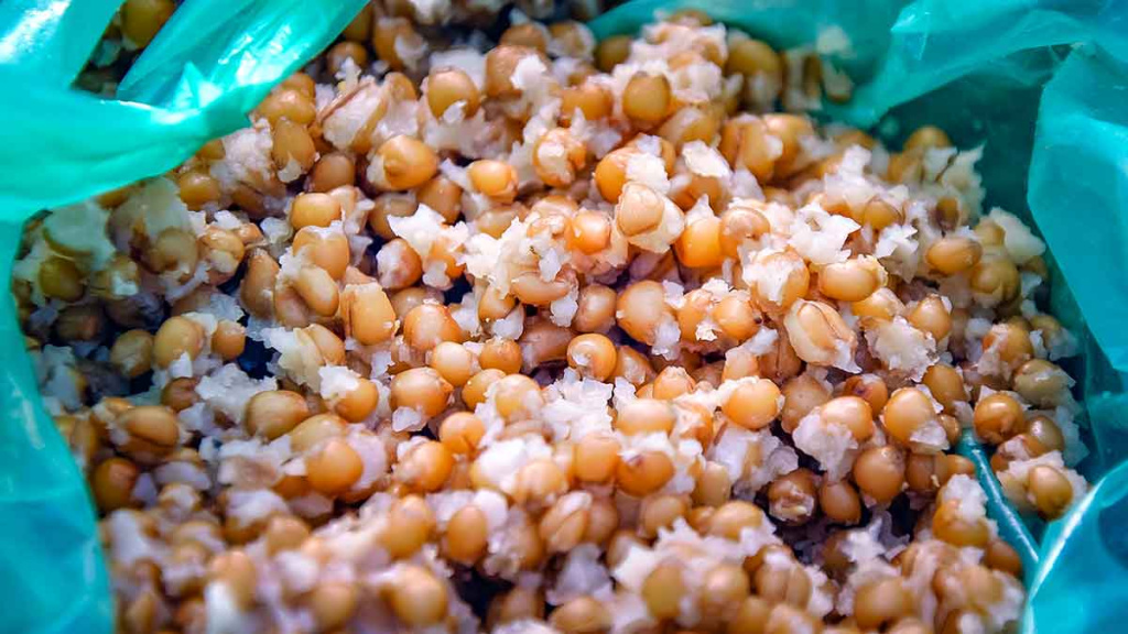 Primirštas geras masalas. Pirma dalis