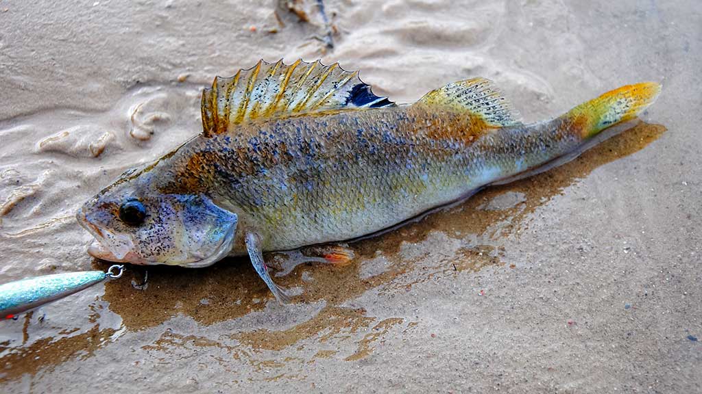 Iš paviršiaus į gilumą. Pirma dalis