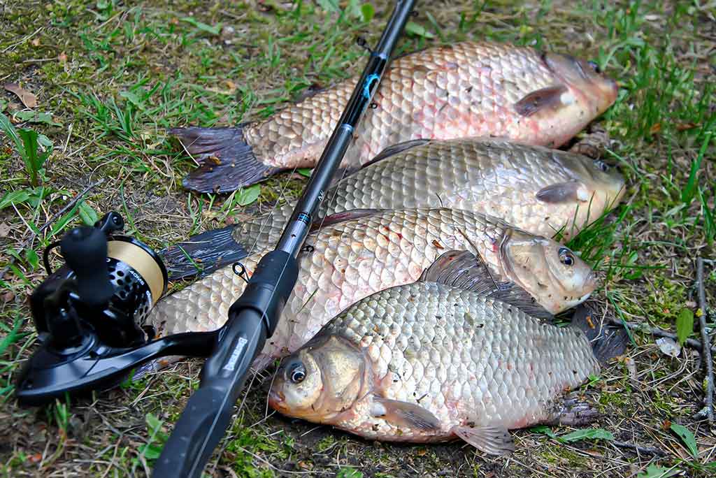 Dar šis bei tas apie kabliukus. Pirma dalis