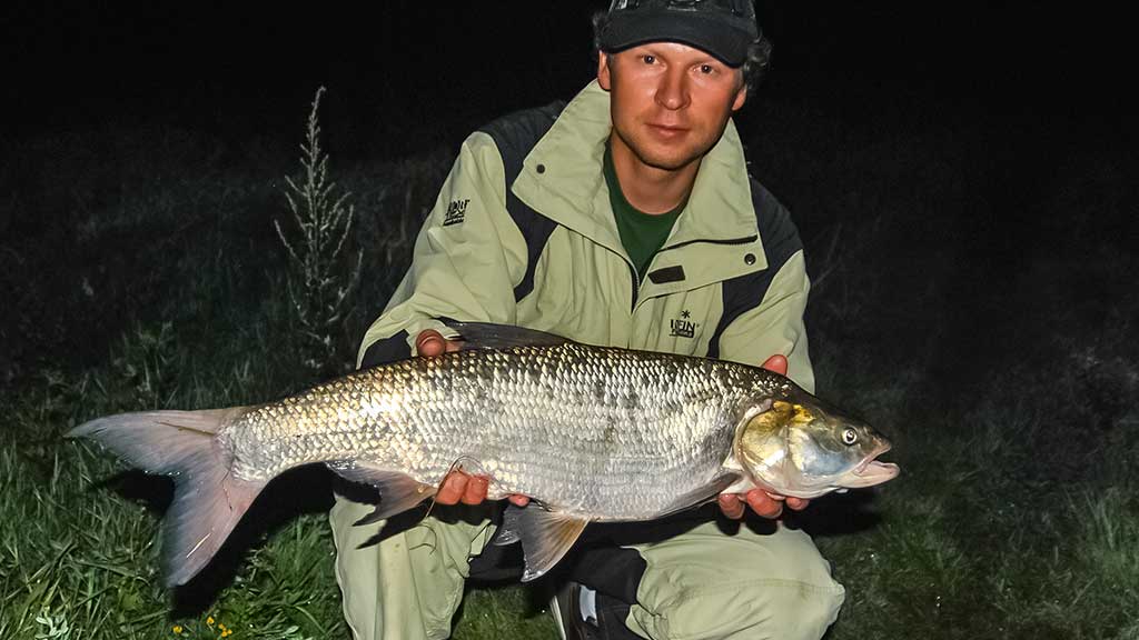 Tritaškis arba kaip nusiraminti DSC_02113-1.jpg