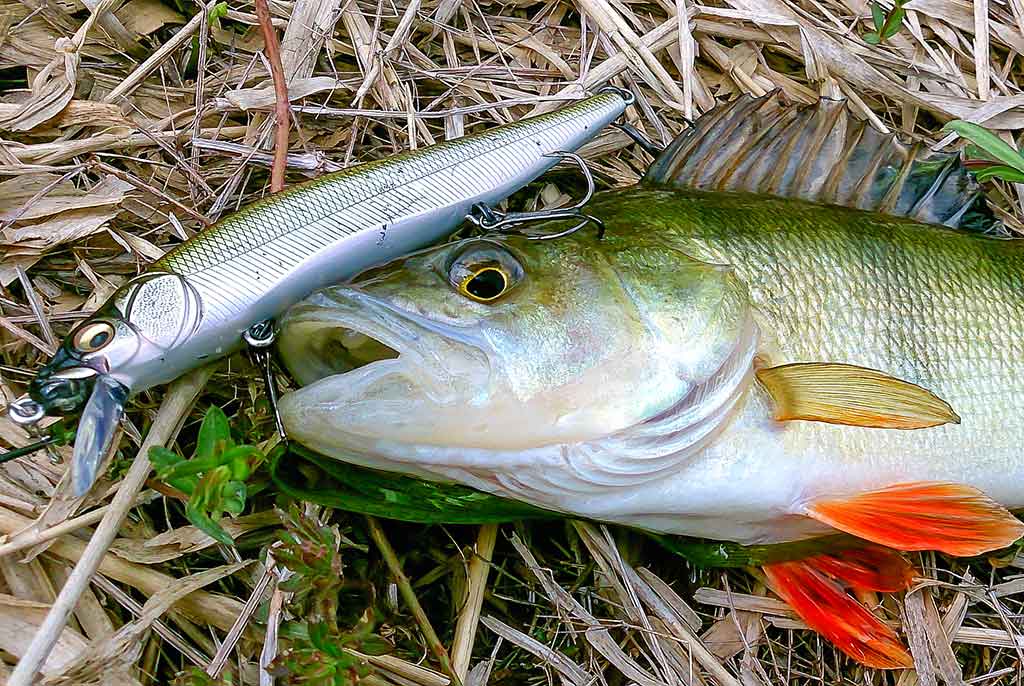 Pakibęs vandens storymėje. Antra dalis Pakibęs vandens storymėje. Antra dalis