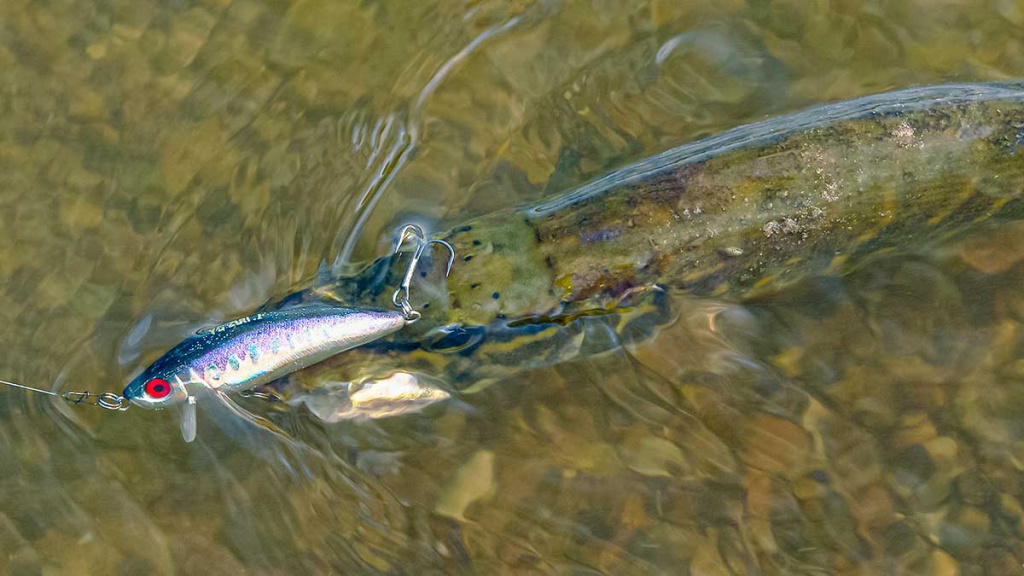 Iš paviršiaus į gilumą. Antra dalis Iš paviršiaus į gilumą. Antra dalis