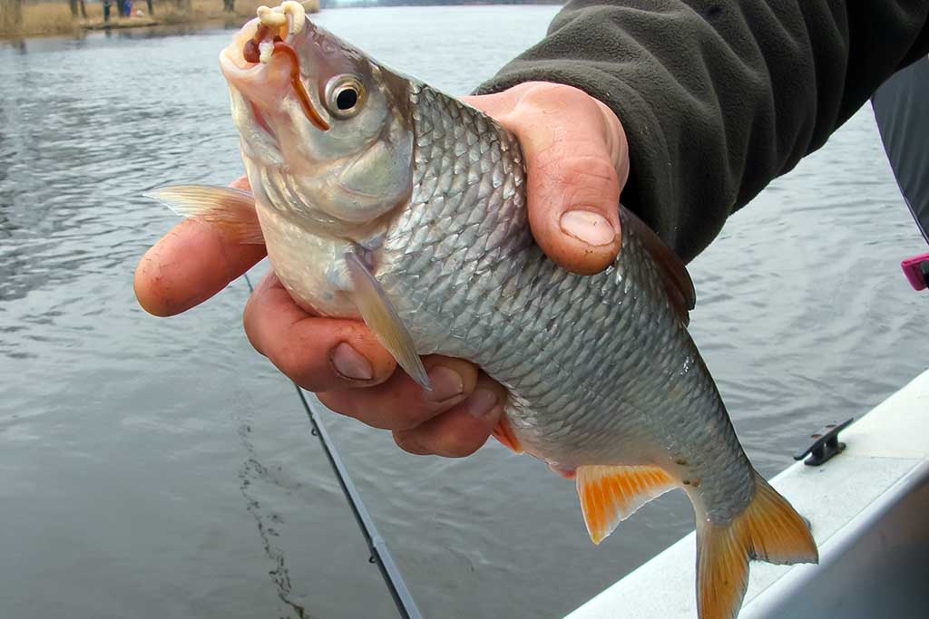 Tėkmėje – plūdine iš valties