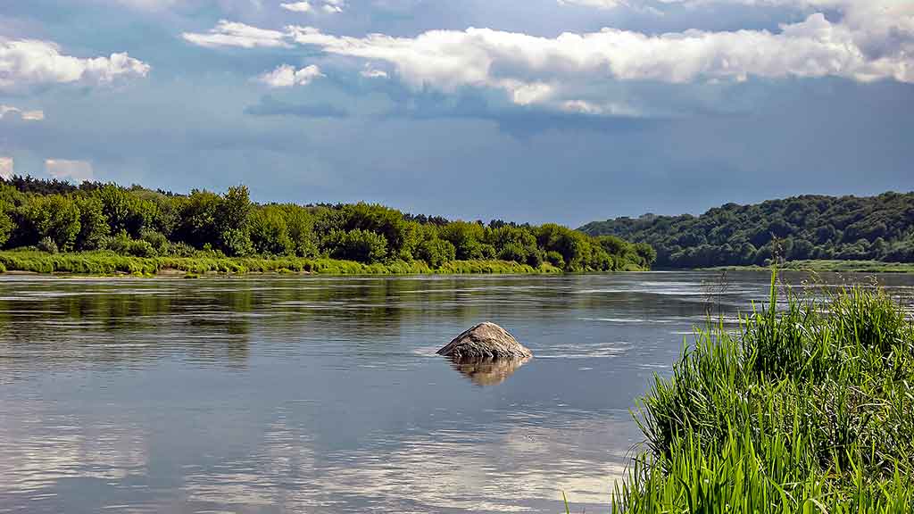 Šapalai mėgsta saulėtą orą