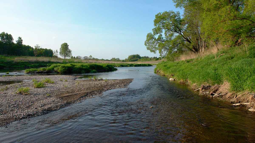 Kur bėga Šešupė. Pirma dalis