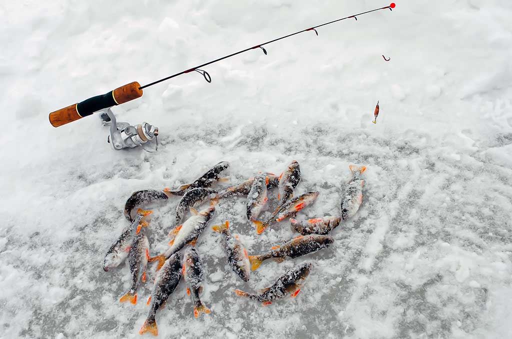 Kaip pagauti ešerį? Kaip pagauti ešerį?