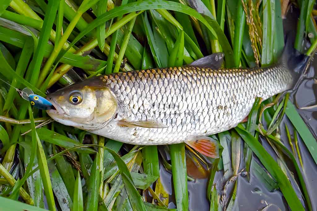 Neįprasta vasara. Antra dalis