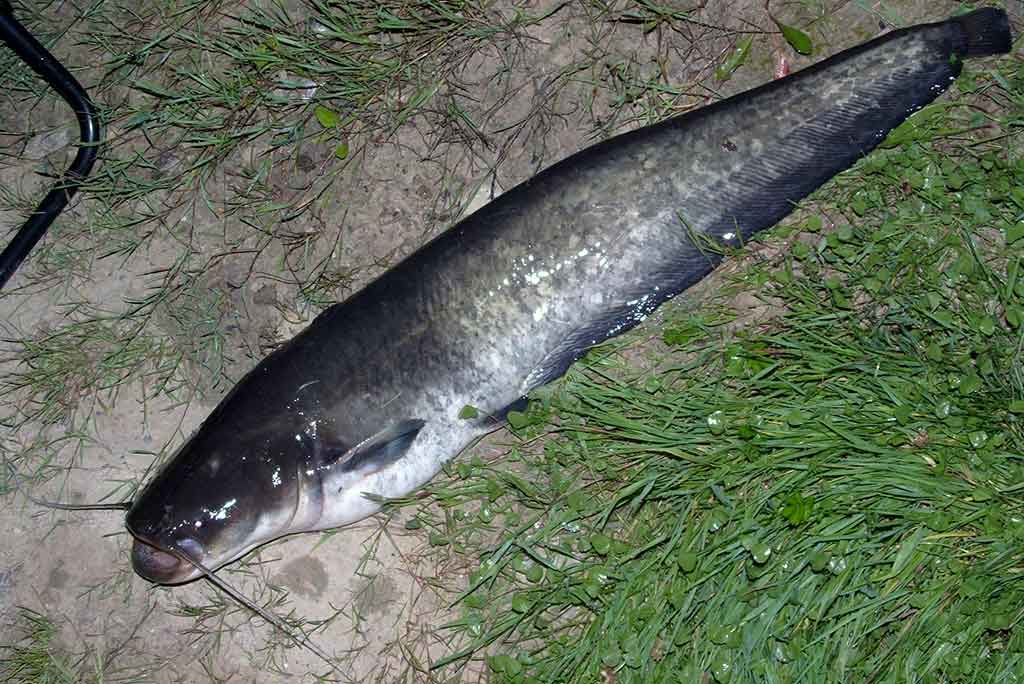 Gyvenimas po tiltu. Antra dalis Gyvenimas po tiltu. Antra dalis