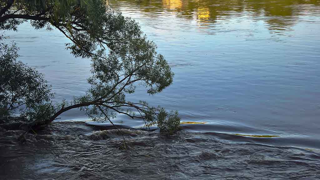 Apie atviras akis, šutintus žirnius, spiningavimą ir būsimą tvaną Apie atviras akis, šutintus žirnius, spiningavimą ir būsimą tvaną