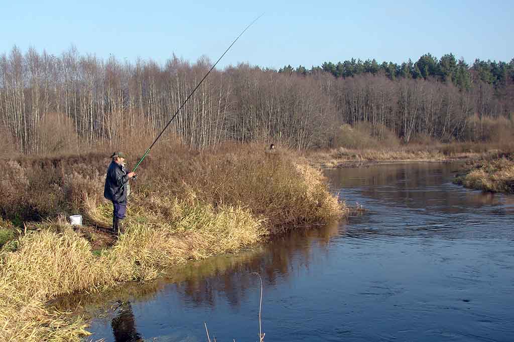 Žiobrių meškeriojimas plūdine – privalumai ir trūkumai