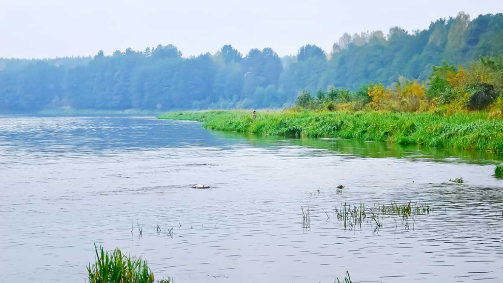 Šapalų žūklė, kai ateina gegužis. Pirma dalis