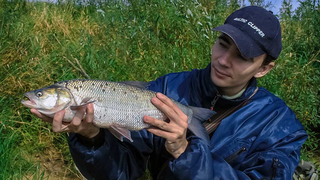 Dvi spiningavimo taktikos. Kiek kojos neša... Dvi spiningavimo taktikos. Kiek kojos neša...