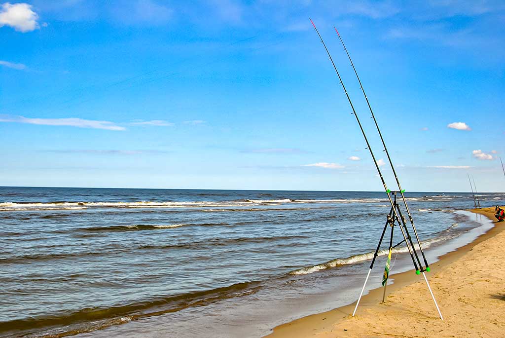 Kaip pagauti Baltijos plekšnę. Išsamiau apie jūrinę įrangą Kaip pagauti Baltijos plekšnę. Išsamiau apie jūrinę įrangą