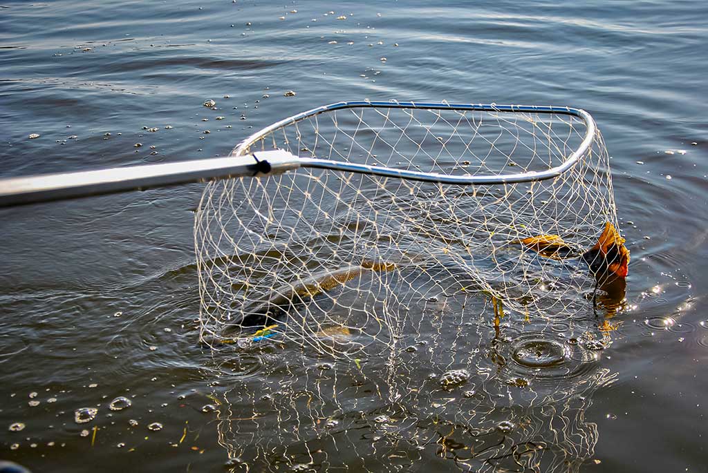 Seni metodai, seni masalai, bet lydekos didelės kaip ir kadaise