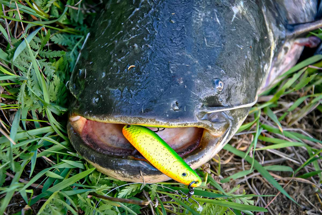 Devyneri metai su Lucky John Maibe