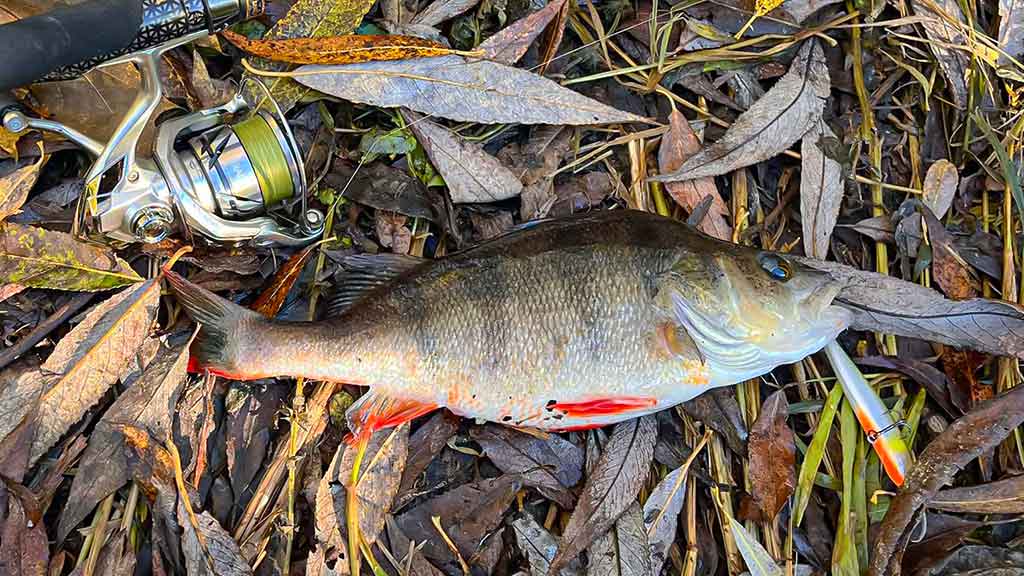 Vobleriniai niuansai