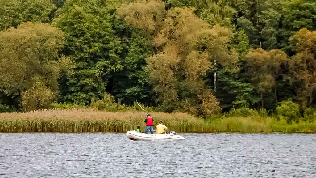 Lydekas – lydekomis. Apie žuvis kanibales