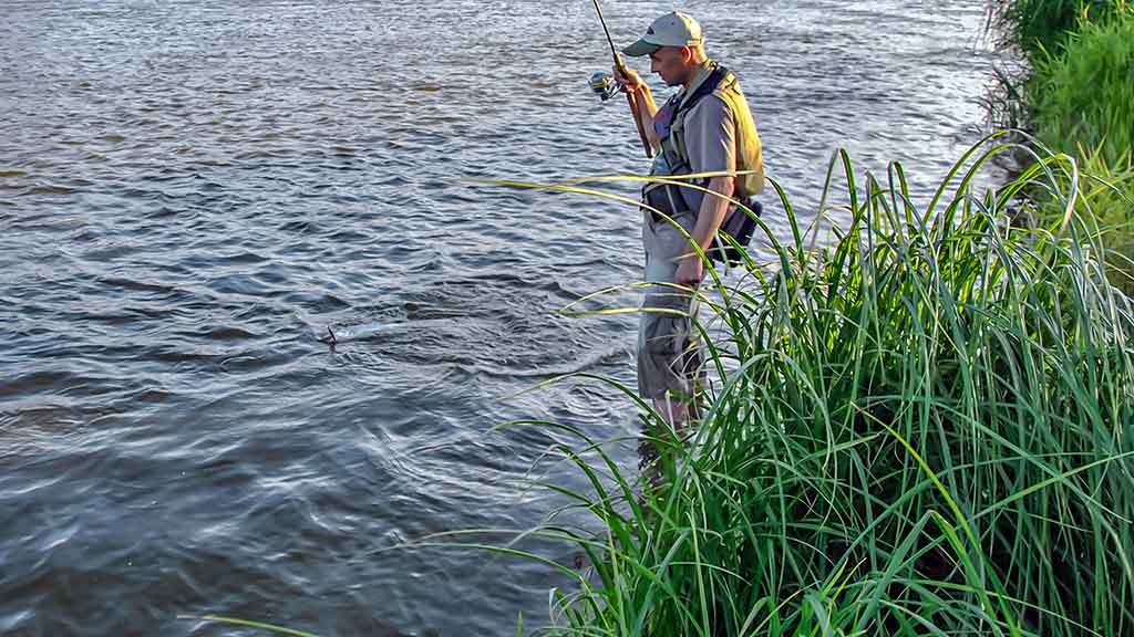 Kuomet sterkai pakyla. Pirma dalis