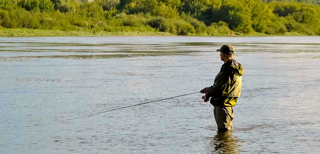 Dviejų colių guminukai. Apie skirtingus colius ir ešerių žūklavietes