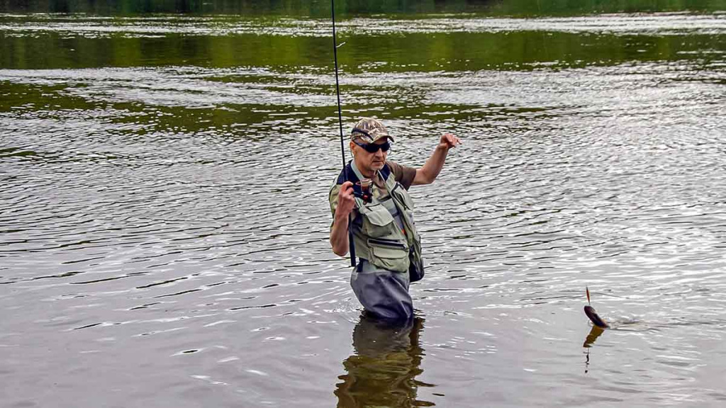 Kaip pagauti nedrąsią plėšrūnę