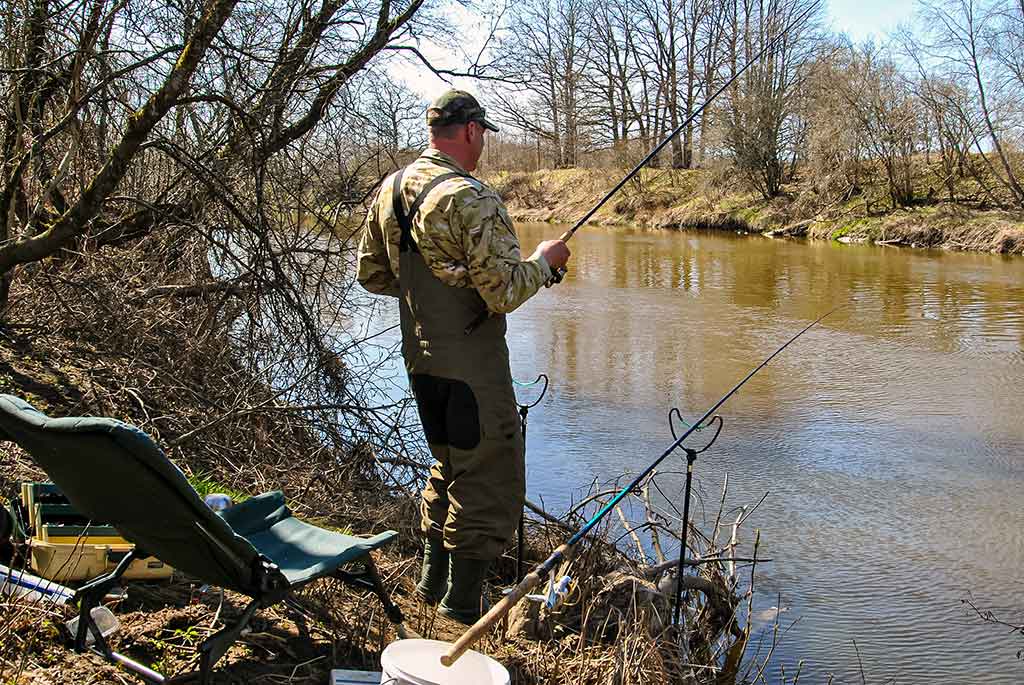 Pavasarinė žiobrių fiesta