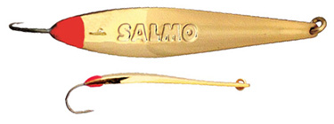 Blizgutė žieminė Lucky John S