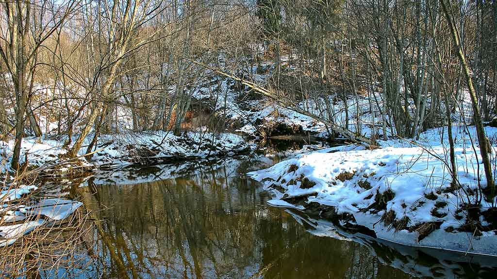 Pirmųjų snaigių burtai